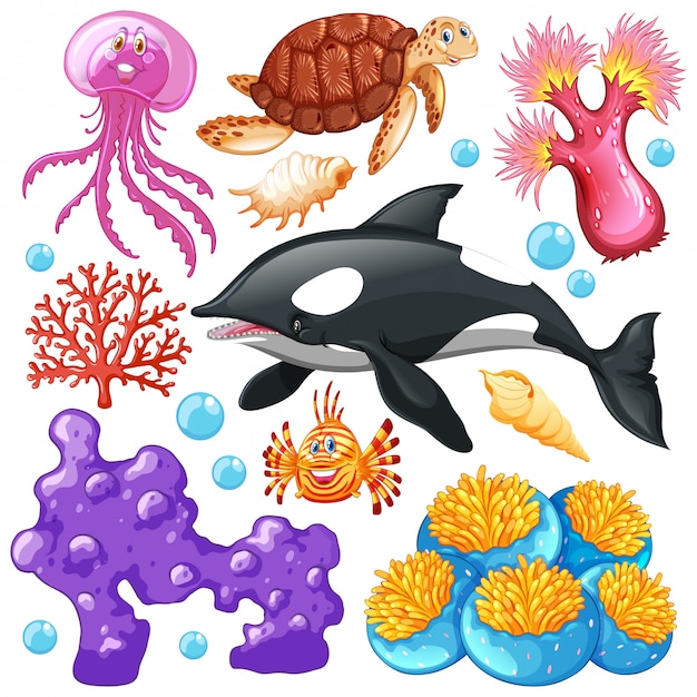 Set of sea creatures on white background