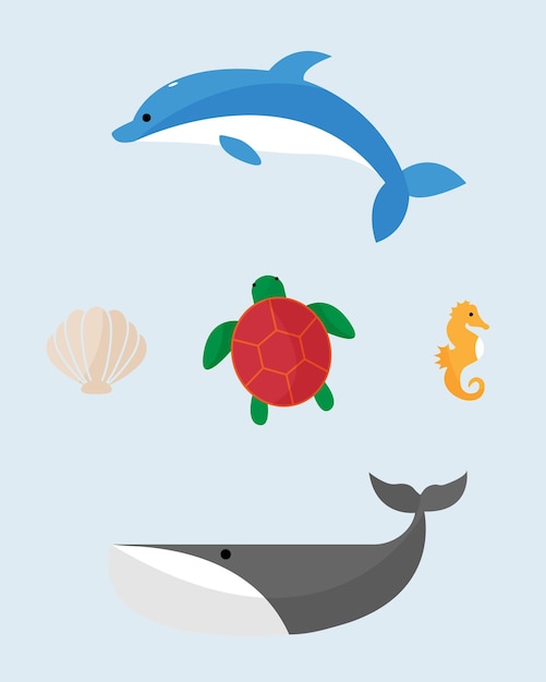 海の生き物のセット