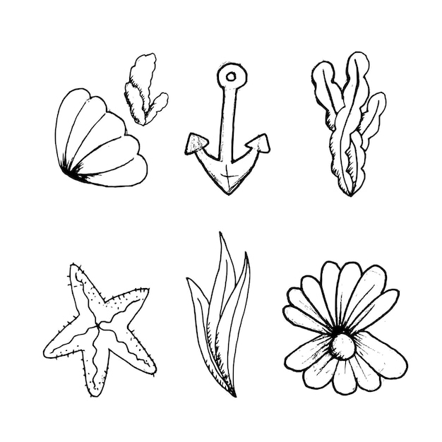 Vector set sea elements seaweed seashells hand drawn sketch