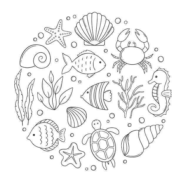 Set of sea life doodle underwater elements shells fish corals and seaweed in sketch style