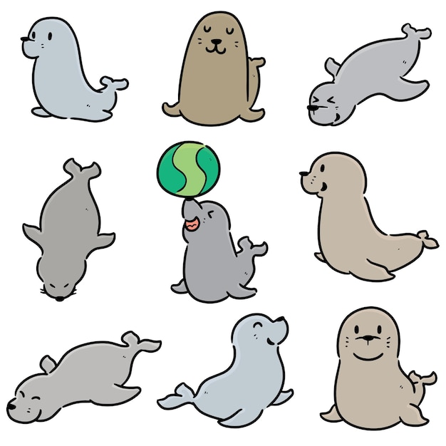 Vector set of sea lion