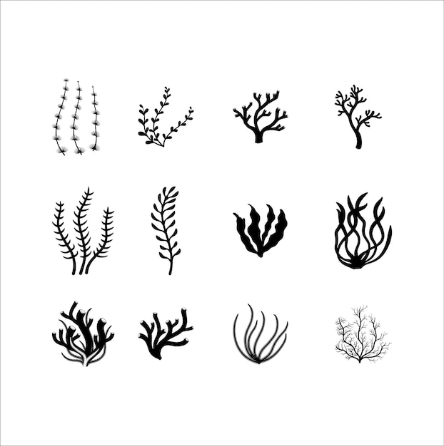 Набор морских растений силуэт на белом фоне