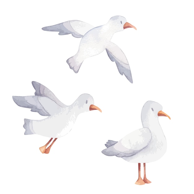 set of a seagull in cartoon style. watercolor illustration for baby and children print. abstract des