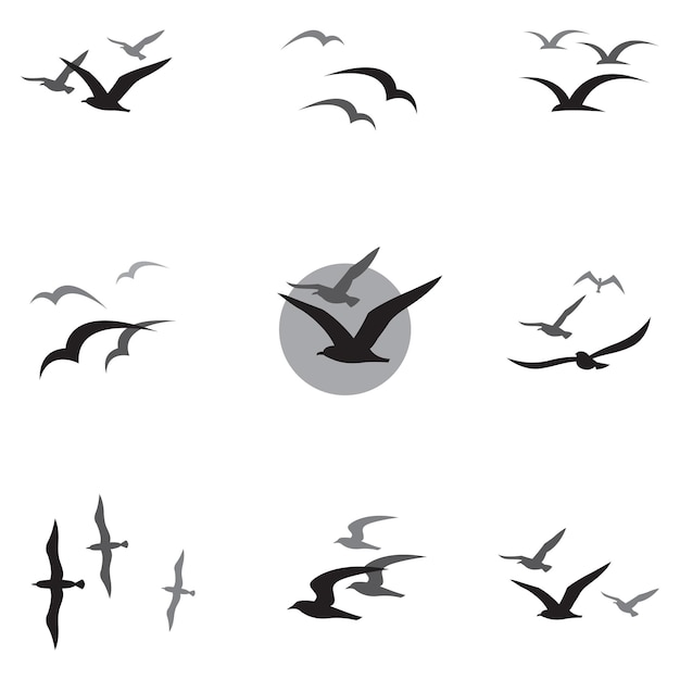 Vector set of seagulls