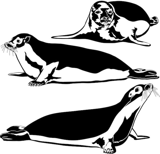 Set of seals