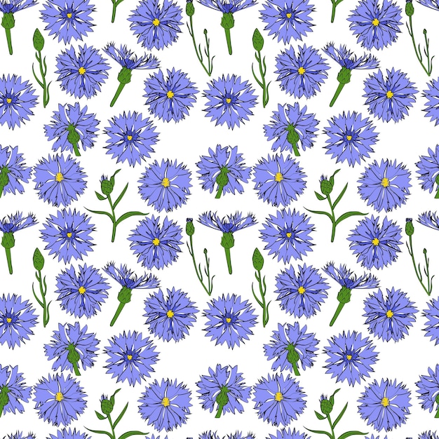 A set of seamless background with cornflowers vector graphics x
