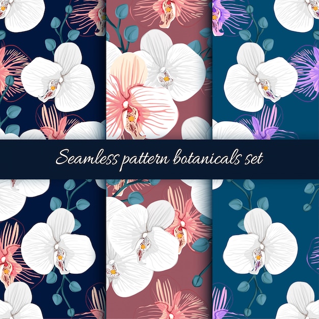 Set of Seamless pattern Orchid flowers background.