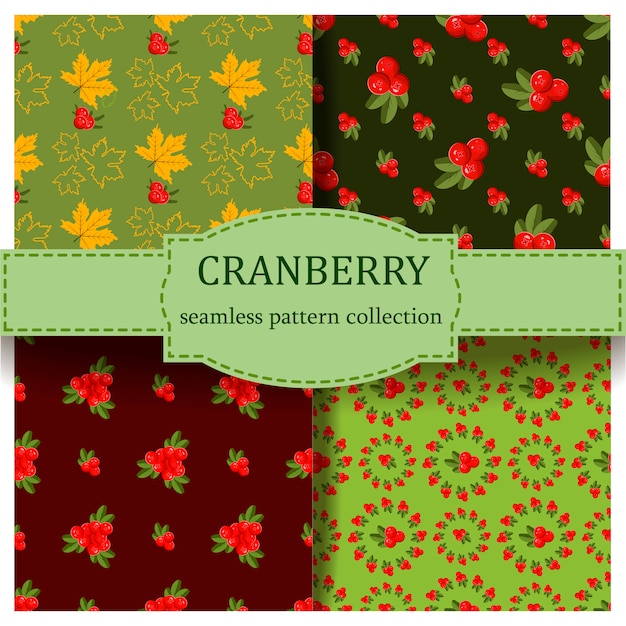 Set of seamless pattern with cranberry.