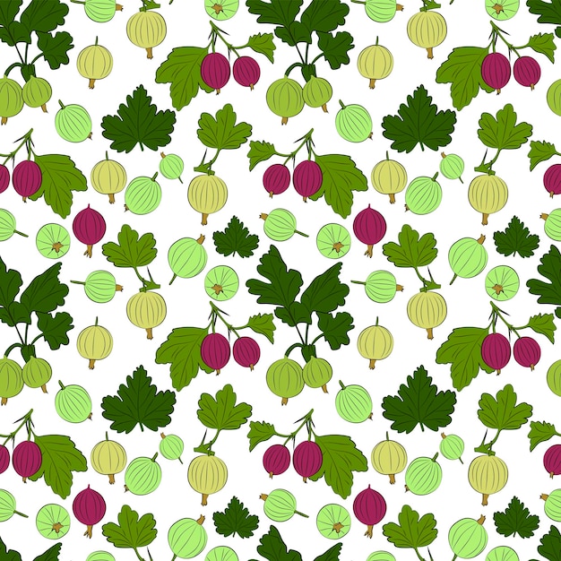 グースベリーの果実と葉のシームレスなパターンのセット 1000x1000 ピクセルベクトルグラフィックス