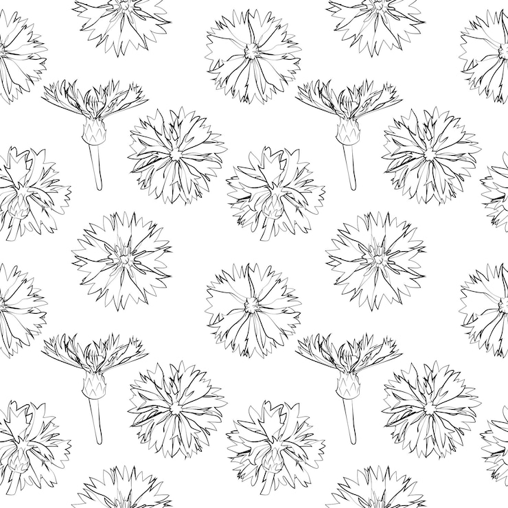 Vector a set of seamless patterns with cornflowers 1000x1000 vector graphics