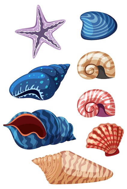 Set of seashell simple cartoon