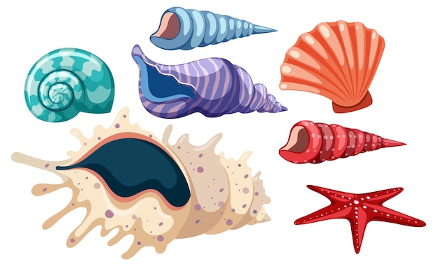 Set of seashell simple cartoon