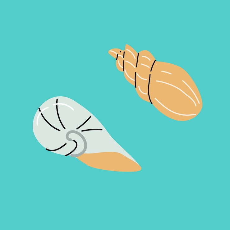 Vector set of seashells on blue background flat cartoon illustration