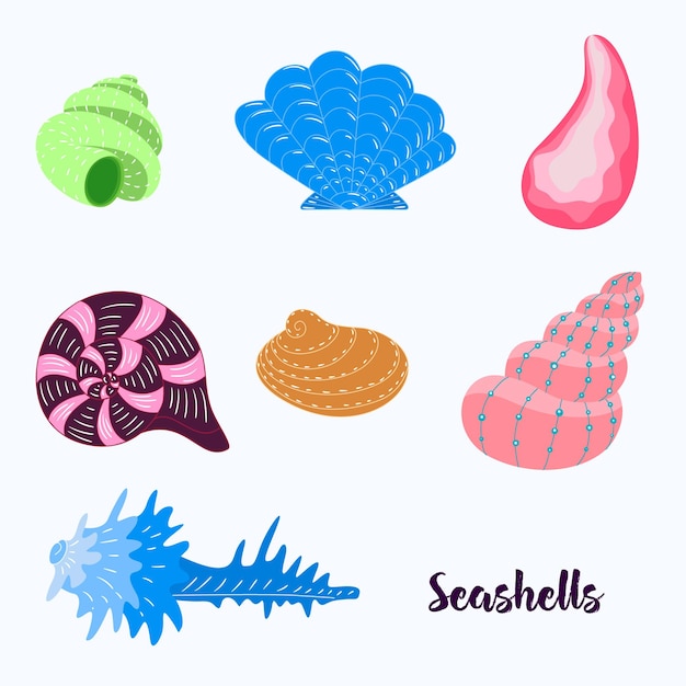 Set of seashells The style cartoon VectorxA