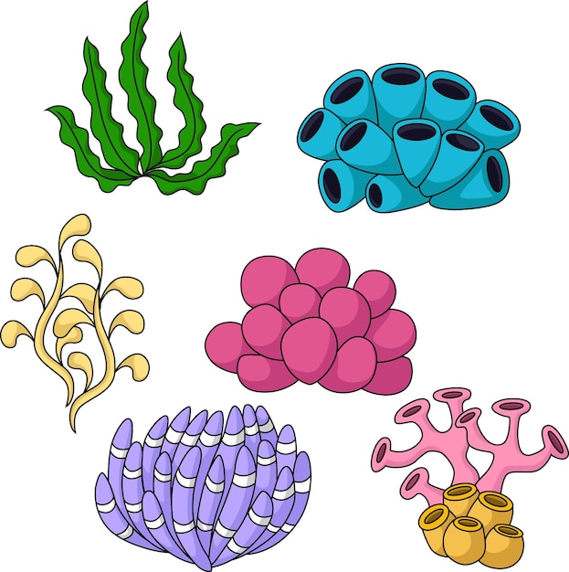 Vector set of seaweeds on white background