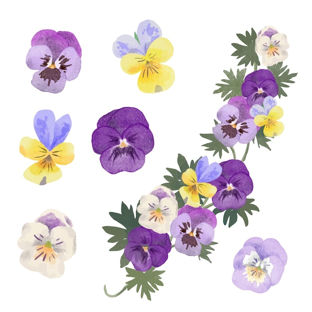 Vector set of separate parts and bring together to beautiful bouquet of flowers in water colors style on white background flat vector illustration