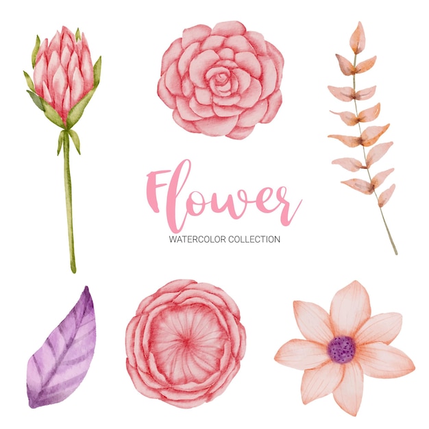 Set of Separate parts and bring together to beautiful bouquet of flowers in watercolor style