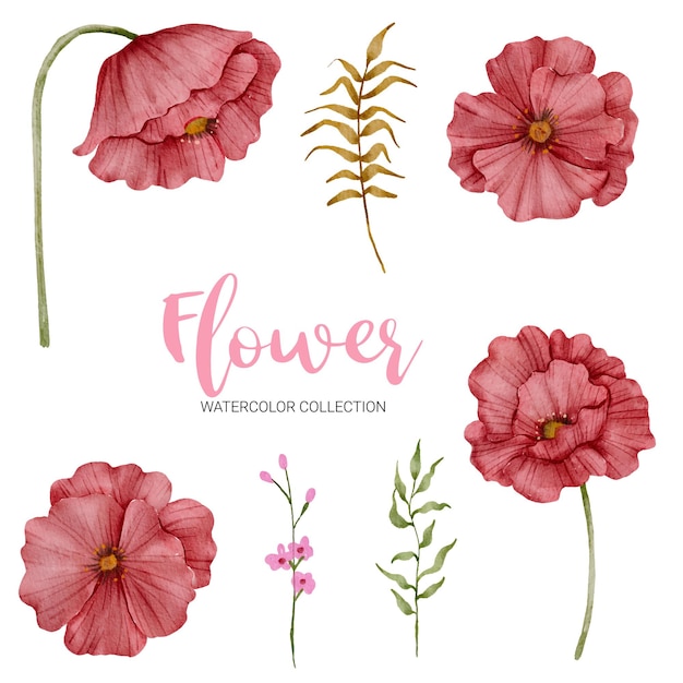 Set of separate parts and bring together to beautiful bouquet of flowers in watercolor style