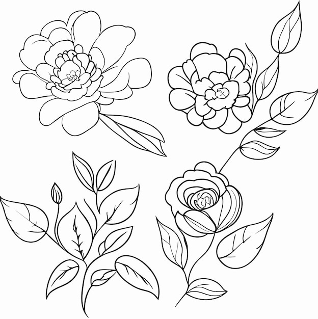 Vector set of separate parts and bring together to beautiful bouquet of flowers in watercolor style