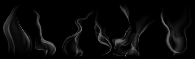 Vector set of several realistic transparent gray smokes or steam for use on dark background transparency only in vector format