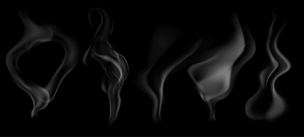 Set of several realistic transparent gray smokes or steam for use on dark background transparency only in vector format