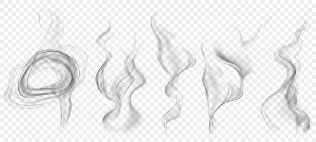 Set of several realistic transparent gray smokes or steam for use on light background Transparency only in vector format