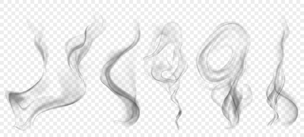 Set of several realistic transparent gray smokes or steam for use on light background transparency only in vector format