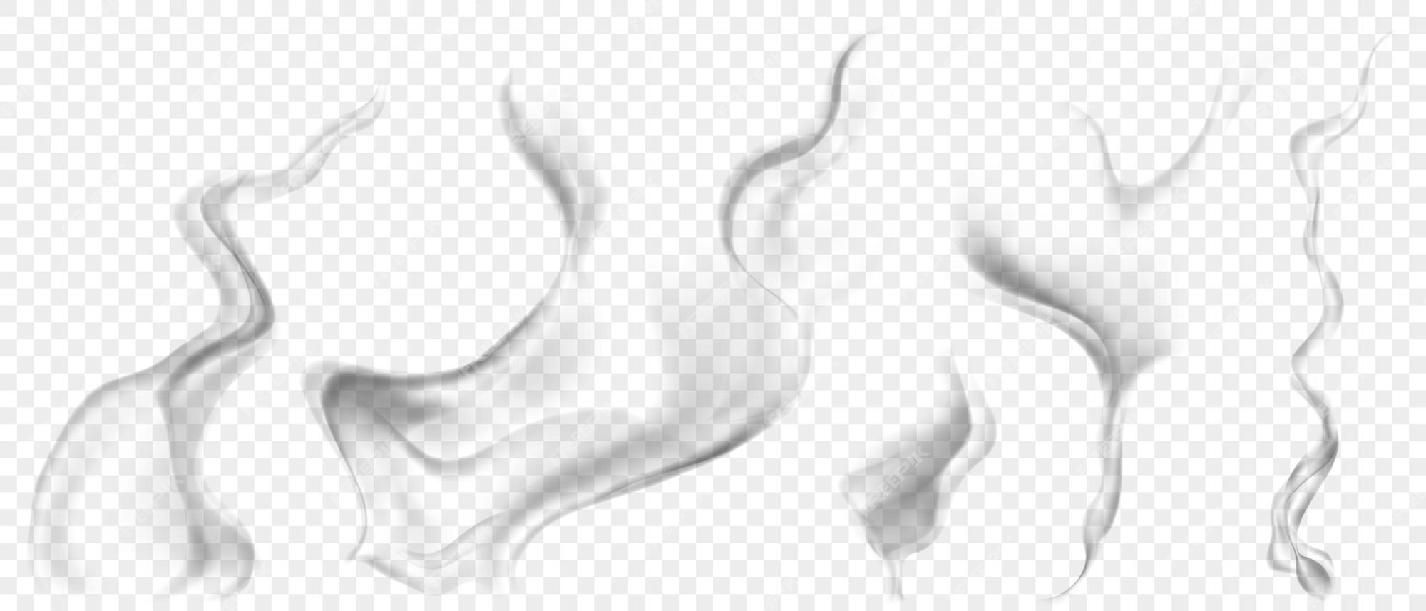 Premium Vector  Set of several realistic transparent smoke or