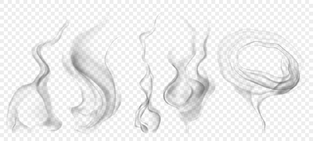 Set of several realistic transparent gray smokes or steam for use on light background Transparency only in vector format