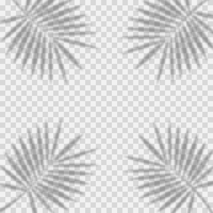 Vector set of shadow background overlays realistic shadow mock up scenes