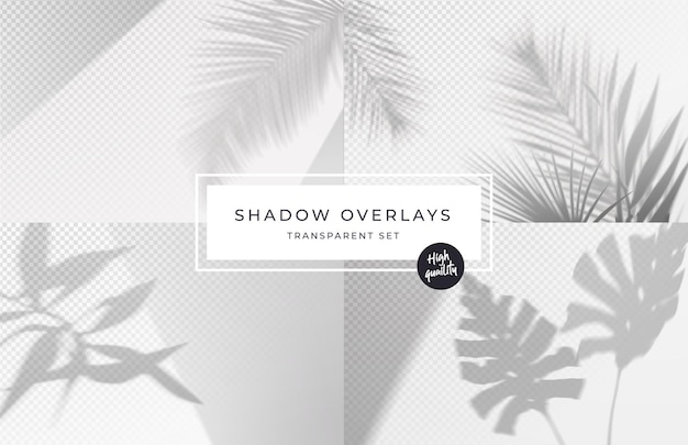 Set of shadow background overlays realistic shadow mock up transparent shadow of tropical leaves