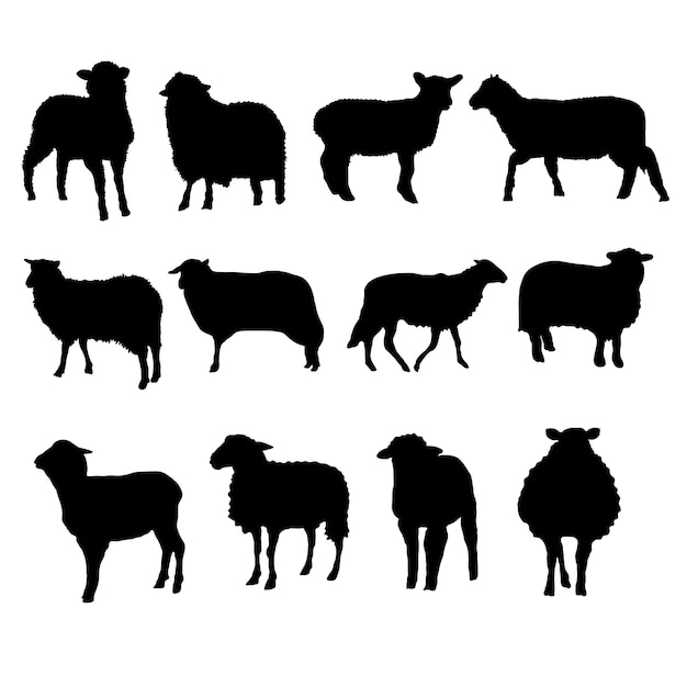 Set of sheep silhouette vector illustration eps10