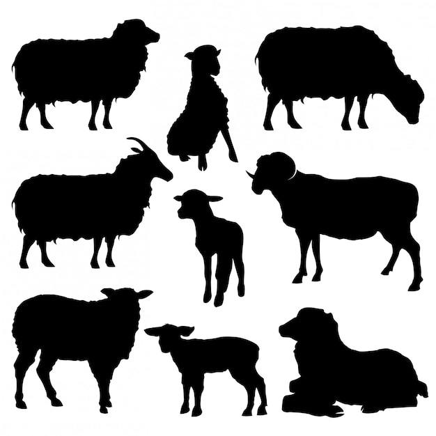 Vector set sheep silhouettes collection isolated on white