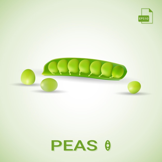 Set of shelled fresh green peas