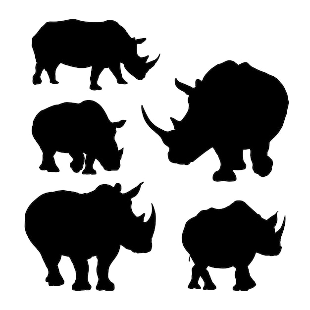 Set of  shilhouette rare rhino species vector