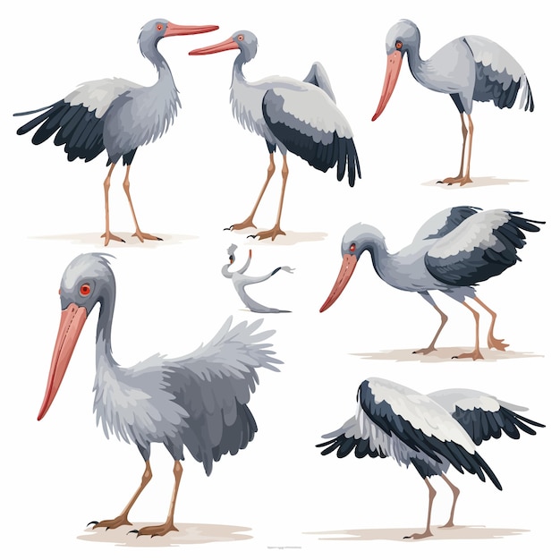 Vector set of shoebill storks in various poses