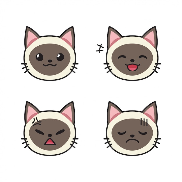 Set of siamese cat faces showing different emotions