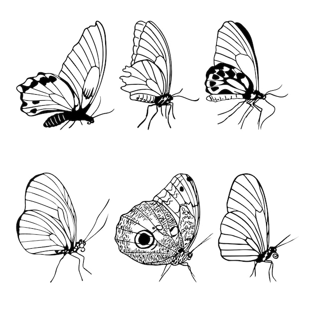 Set of side view butterflies silhouettes monochrome style butterfly for tattoo logo card design