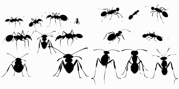 Una serie di illustrazioni vettoriali silhouette ant