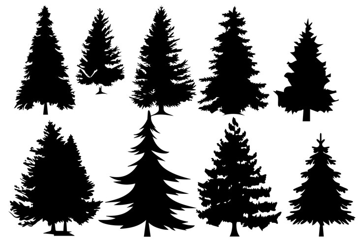 Vector set of silhouette christmas trees