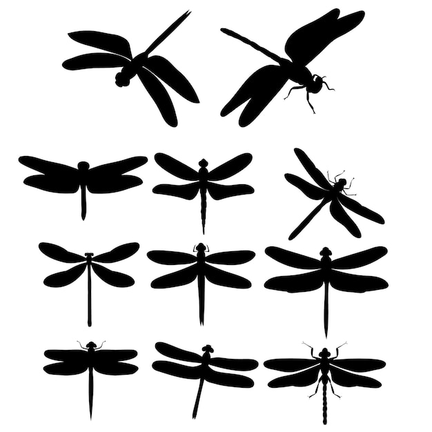 Vector set silhouette of a dragonfly