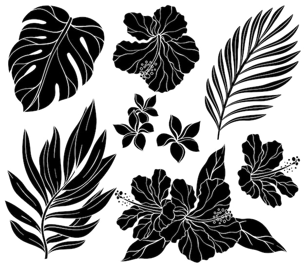 Vector set of silhouette of hibiscus palm leaves