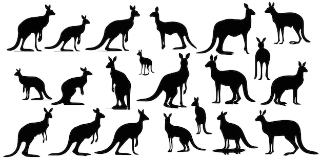 A set of Silhouette kangaroo vector illustration