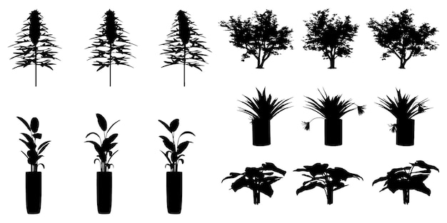 Set of silhouette plant flowers and leaves silhouette vector eps10