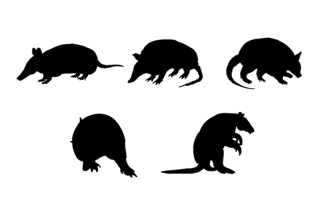 Vector set of silhouettes of armadillos vector design