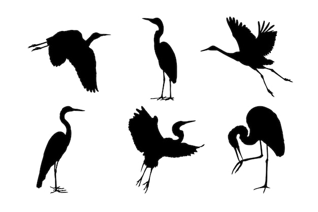 Vector set of silhouettes of bird cranes