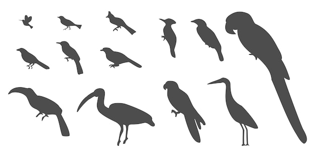 Set of silhouettes of birds Illustration of birds collection isolated on white background Vector