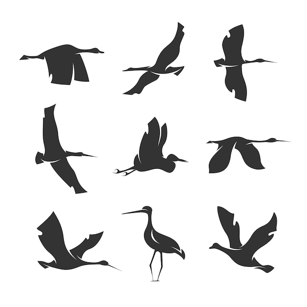 Premium Vector | Set of silhouettes of birds in motion on a white ...