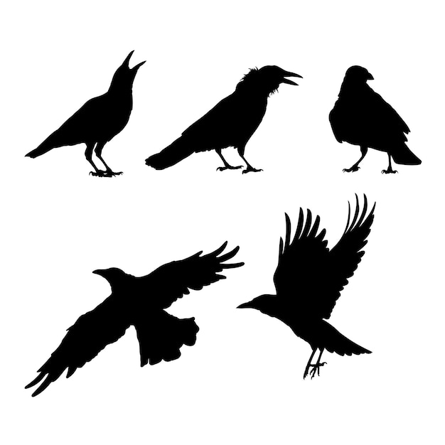 Vector set of silhouettes of black crows vector design