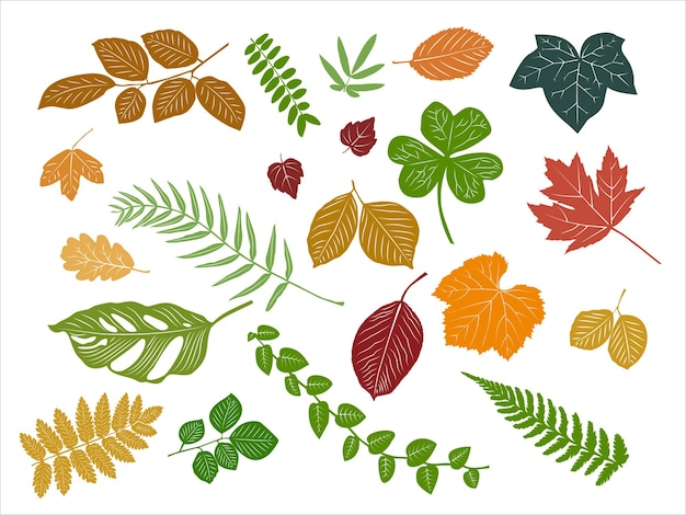набор силуэтов ветвей и листьев осенние тени
